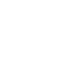 荣誉奖牌/证书